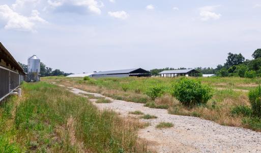 Photo #24 of 2020 W Patrick Henry Highway, Crewe, VA 125.9 acres