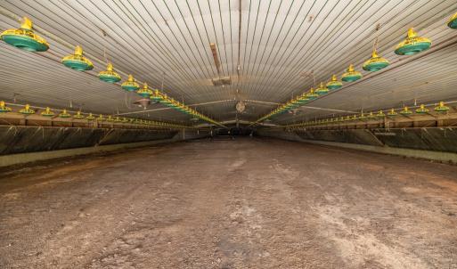 Photo #26 of 2020 W Patrick Henry Highway, Crewe, VA 125.9 acres