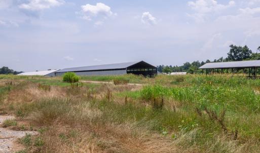 Photo #27 of 2020 W Patrick Henry Highway, Crewe, VA 125.9 acres