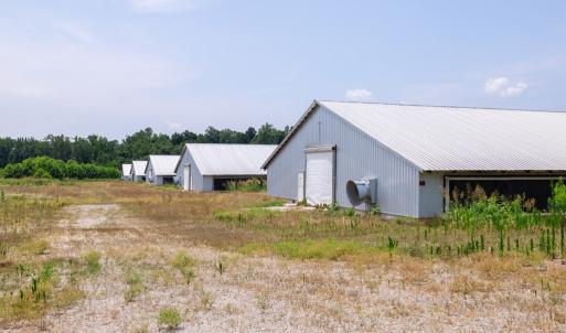 Photo #39 of 2020 W Patrick Henry Highway, Crewe, VA 125.9 acres
