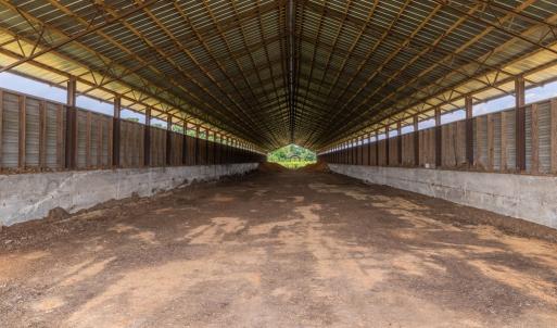 Photo #50 of 2020 W Patrick Henry Highway, Crewe, VA 125.9 acres