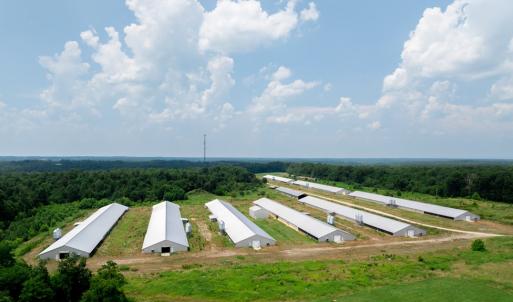 Photo #8 of 2020 W Patrick Henry Highway, Crewe, VA 125.9 acres