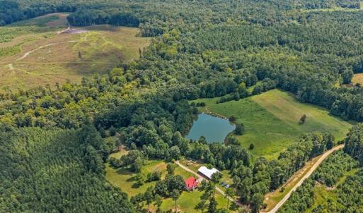 Photo #15 of 1740 Paulette Lane, Nottoway, VA 95.2 acres