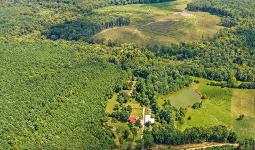 Photo #16 of 1740 Paulette Lane, Nottoway, VA 95.2 acres