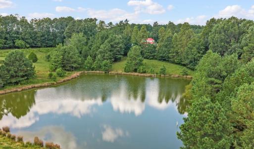 Photo #17 of 1740 Paulette Lane, Nottoway, VA 95.2 acres