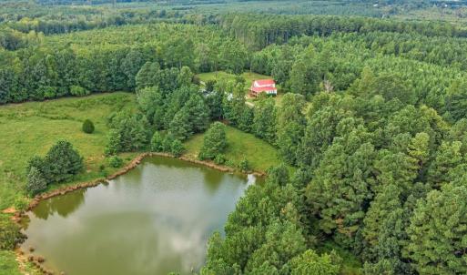 Photo #18 of 1740 Paulette Lane, Nottoway, VA 95.2 acres