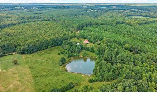 Photo #19 of 1740 Paulette Lane, Nottoway, VA 95.2 acres