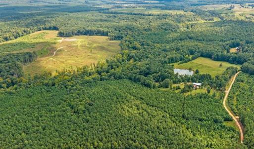 Photo #20 of 1740 Paulette Lane, Nottoway, VA 95.2 acres