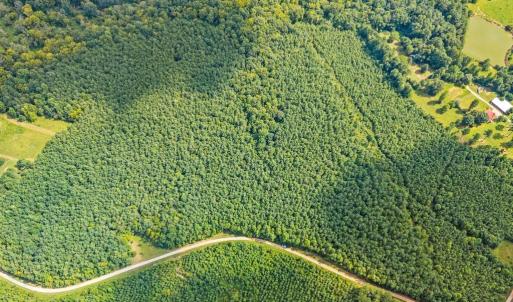 Photo #21 of 1740 Paulette Lane, Nottoway, VA 95.2 acres