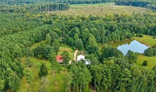 Photo #5 of 1740 Paulette Lane, Nottoway, VA 95.2 acres