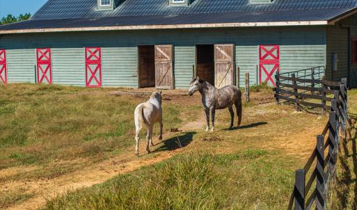 Photo #38 of 5565 Saxkey Road, Saxe, VA 91.3 acres