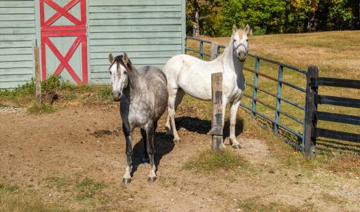 Photo #40 of 5565 Saxkey Road, Saxe, VA 91.3 acres