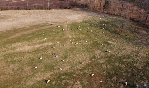 Photo #29 of 23381 Genito Rd, Amelia, VA 34.9 acres