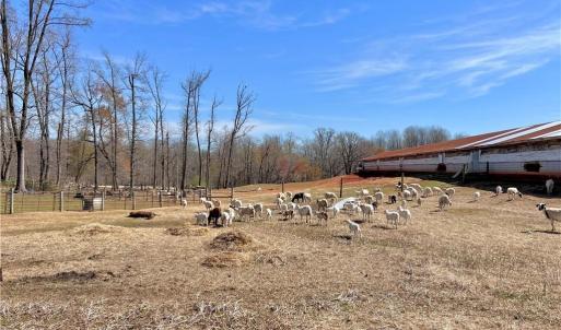 Photo #50 of 23381 Genito Rd, Amelia, VA 34.9 acres