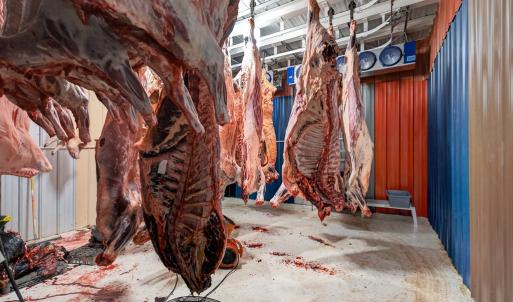 Photo #59 of 1040 Deuprees Store Rd., Drakes Branch, VA 18.0 acres