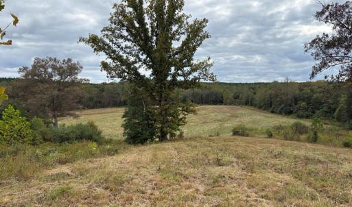 Photo #11 of 775 Cobbs Rd., Arvonia, VA 201.0 acres