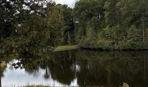 Photo #24 of 775 Cobbs Rd., Arvonia, VA 201.0 acres