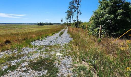 Photo #11 of Glenmore Road, Scottsville, VA 1,202.0 acres