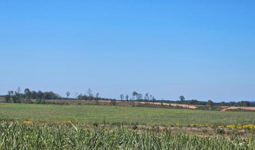 Photo #13 of Glenmore Road, Scottsville, VA 1,202.0 acres