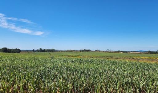 Photo #15 of Glenmore Road, Scottsville, VA 1,202.0 acres