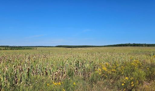 Photo #17 of Glenmore Road, Scottsville, VA 1,202.0 acres