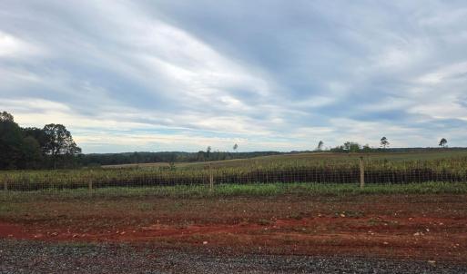 Photo #19 of Glenmore Road, Scottsville, VA 1,202.0 acres