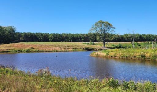 Photo #9 of Glenmore Road, Scottsville, VA 1,202.0 acres