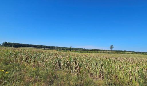Photo #20 of Glenmore Road, Scottsville, VA 1,202.0 acres