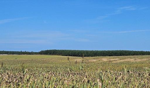 Photo #24 of Glenmore Road, Scottsville, VA 1,202.0 acres