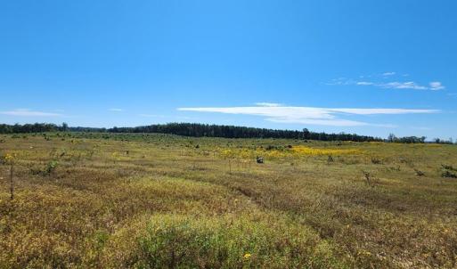 Photo #26 of Glenmore Road, Scottsville, VA 1,202.0 acres