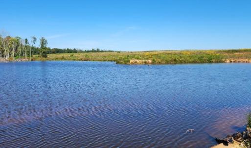 Photo #6 of Glenmore Road, Scottsville, VA 1,202.0 acres