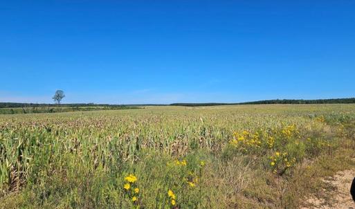 Photo #7 of Glenmore Road, Scottsville, VA 1,202.0 acres