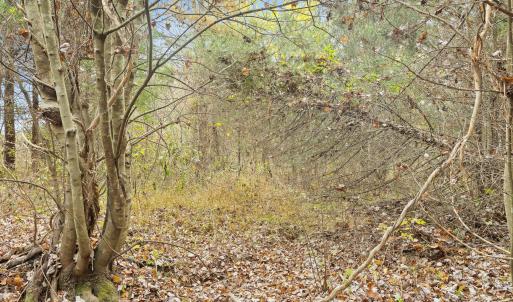 25-Wilson Church Rd reshoot_03