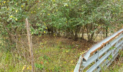 28-Wilson Church Rd reshoot_06