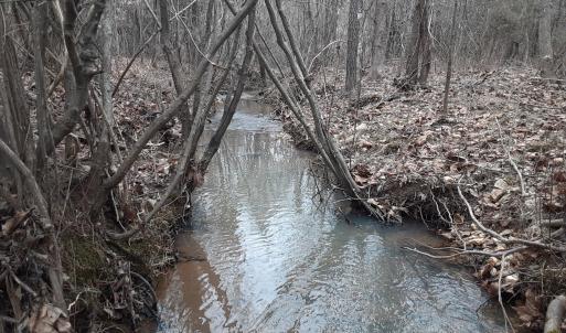 33-thumbnail_20250202_112600