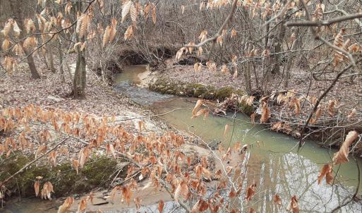 35-thumbnail_20250202_112752