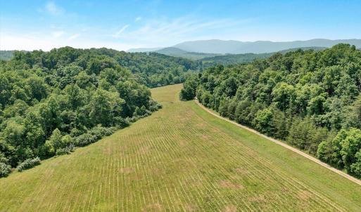 Pasture Land