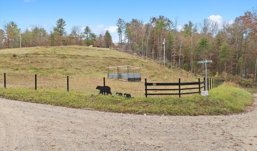 45-Bear Hollow Trail_01
