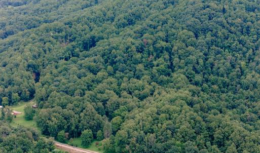 Dunahoo RD 39.421 Acres