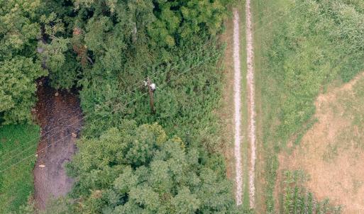 Naff RD 159.847 Acres