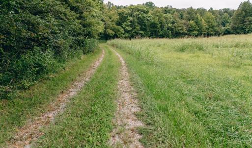 Naff RD 159.847 Acres