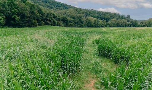 Virgil Goode5_(2048)