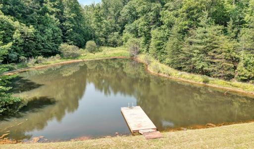 Enjoy Swimming in the Pond