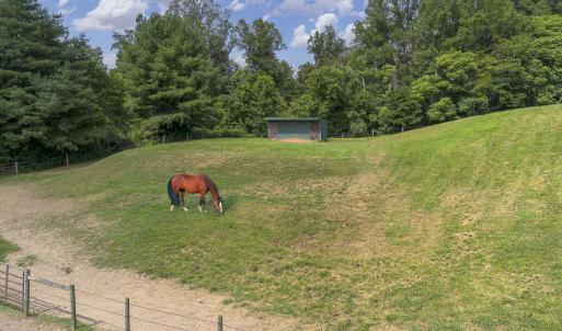9195 Springwood Rd-25 - Copy