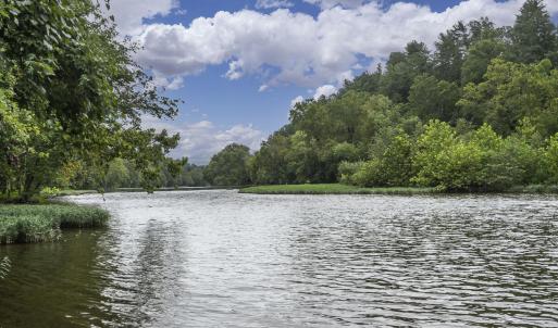 9195 Springwood Rd-74 - Copy