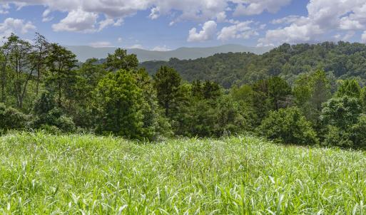 9195 Springwood Rd-22