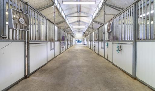 9195 Springwood Rd-37