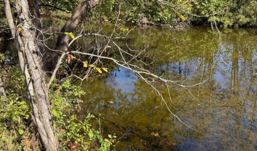 Creek View