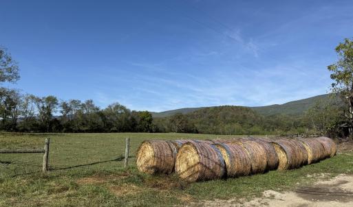 Upper Pasture