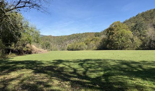 lower pasture